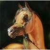 Portret konia - olej na płótnie zdjęcie 1