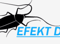Efekt DDD