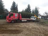 Pomoc Drogow Poznań Dostawcze 600-960-987