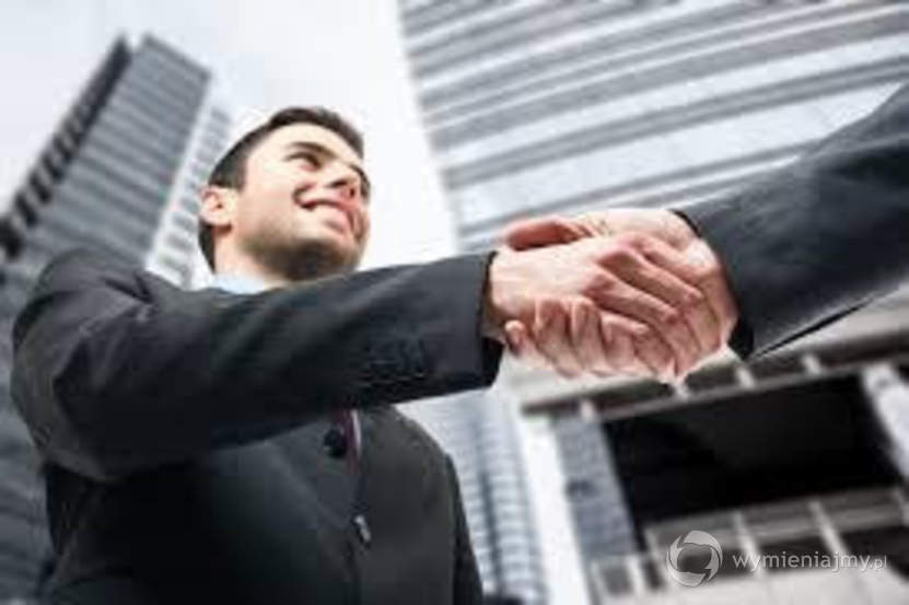 Business portal intended for foreign investments and connecting domestic companies and presenting ou zdjęcie 1