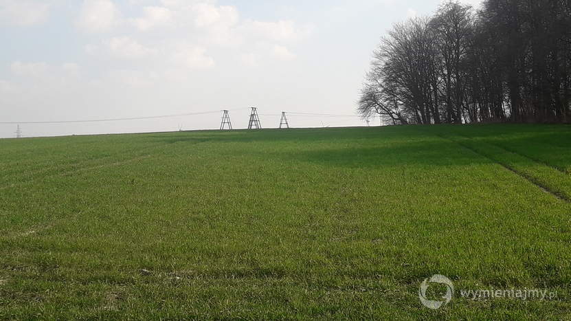 Miejsce na twoją przyczepę kempingową , domek holenderski zdjęcie 1