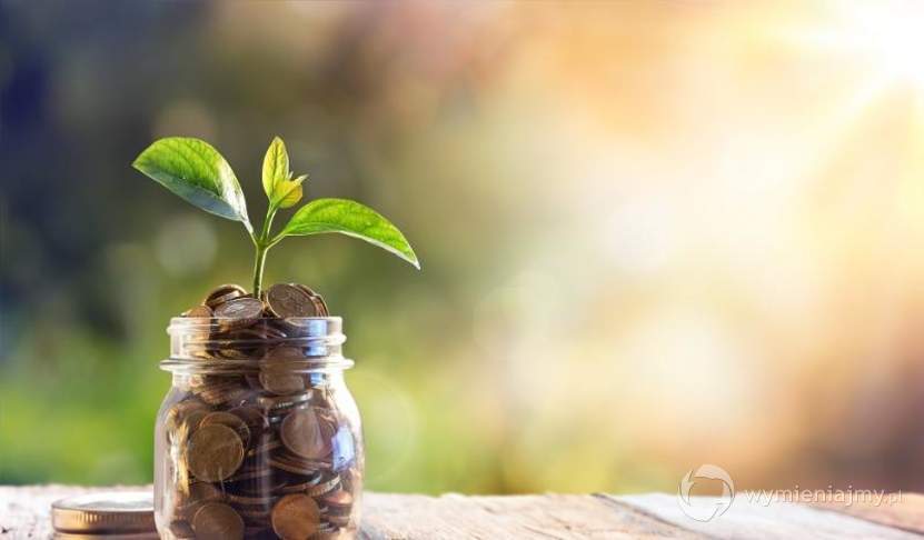 Startup Your Business At 3% Rate Loan Apply Now zdjęcie 1